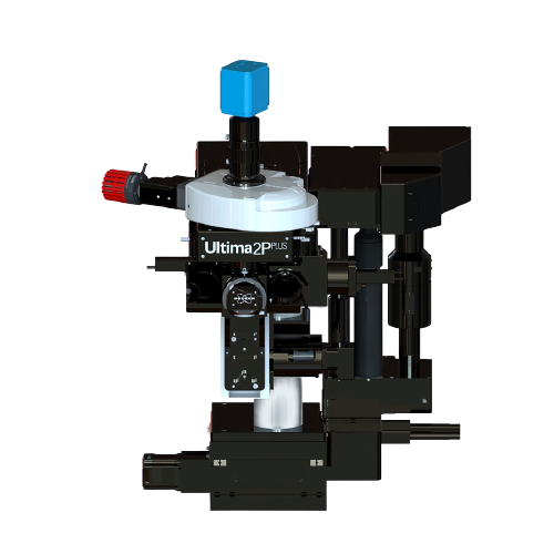 Bruker - 活體多光子顯微鏡